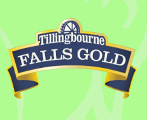 Tillingbourne Brewery Falls Gold poster