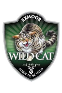 Exmoor Wild Cat